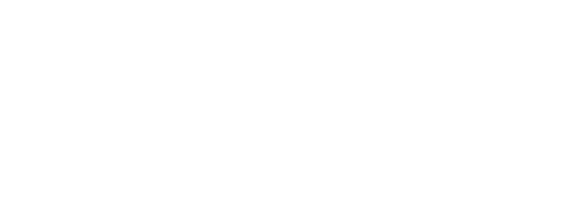 Flowkify Logo